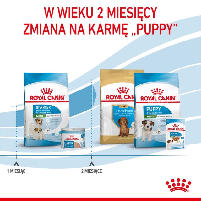 ROYAL CANIN SHN Mini Starter Mother & Babydog - dry dog food - 4 kg - imagine 4
