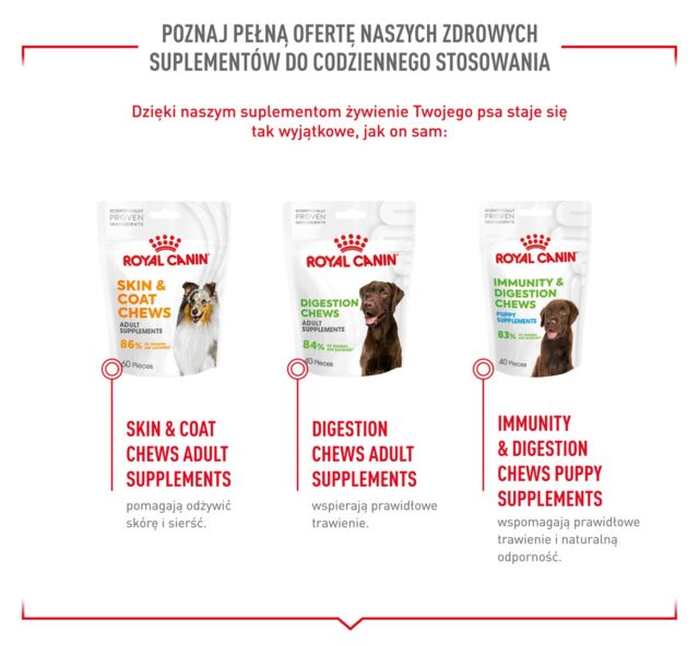 ROYAL CANIN Supplements Dog Joint & Ageing Adult - dog vitamins - 240g - imagine 8