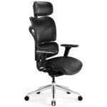 Ergonomic chair Diablo Chairs V-Commander black