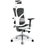 Ergonomic chair Diablo Chairs V-Basic white-black - imagine 3