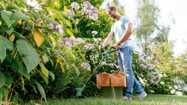 Bosch EasyGrassCut 23 23 cm 280 W AC Black  Green - imagine 3