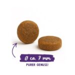 BOSCH Sanabelle Adult Ostrich & Blueberries - dry cat food - 2kg - imagine 3