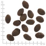 WOLFSBLUT Wild Pacific Fish with potatoes - dry dog food - 12 5kg - imagine 2