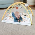 Fisher-Price Simply Senses Newborn Gym Baby Activity Mat with 6 Sensory Toys - imagine 3