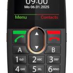 Gigaset GL695 5.87 cm (2.31 ) 113 g Black Senior phone