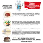 DOLINA NOTECI Premium Small breeds Veal with guinea fowl - dry dog food - 3kg - imagine 2