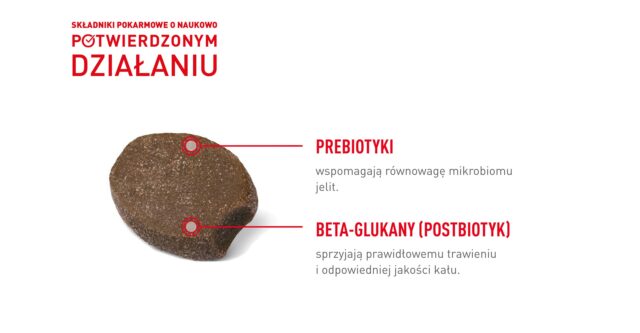 ROYAL CANIN Supplements Dog Digestion Adult - dog vitamins - 160g - imagine 3