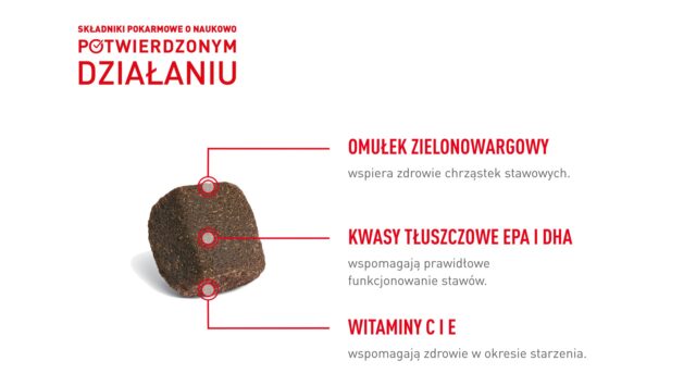 ROYAL CANIN Supplements Dog Joint & Ageing Adult - dog vitamins - 240g - imagine 10