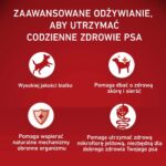 PURINA ONE MED/MAX Adult Beef & Rice 12kg - imagine 3