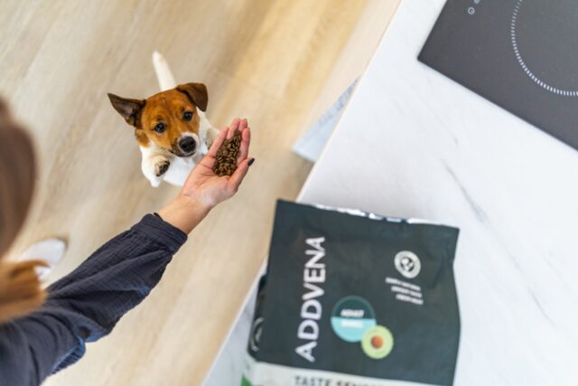 ADDVENA TASTE SENSATIONS dla dorosłych psów małych ras 2 5kg - imagine 4
