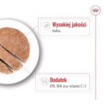 ROYAL CANIN SHN Medium Ageing Loaf Can 410g - imagine 3