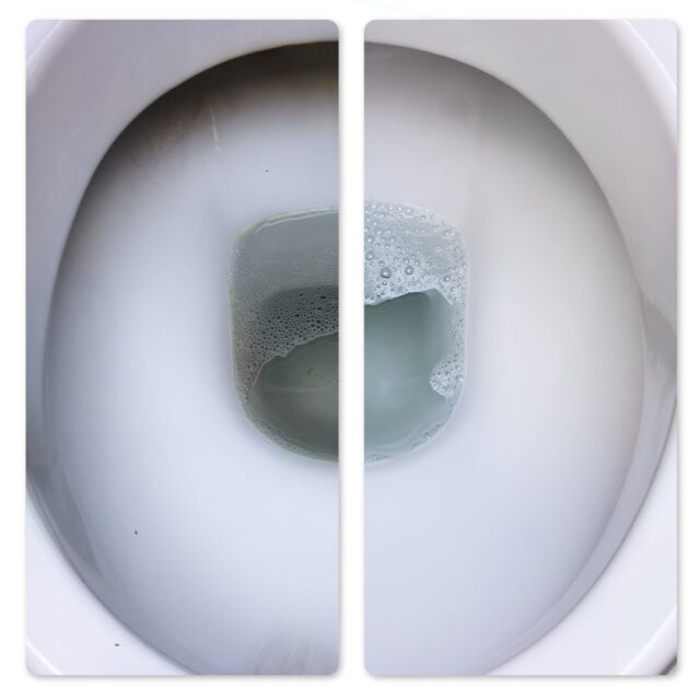 Frischer toilet cleaner 1l - imagine 5