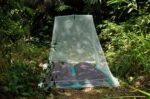 Cocoon MNC2 camping mosquito net Pyramid mosquito net Green