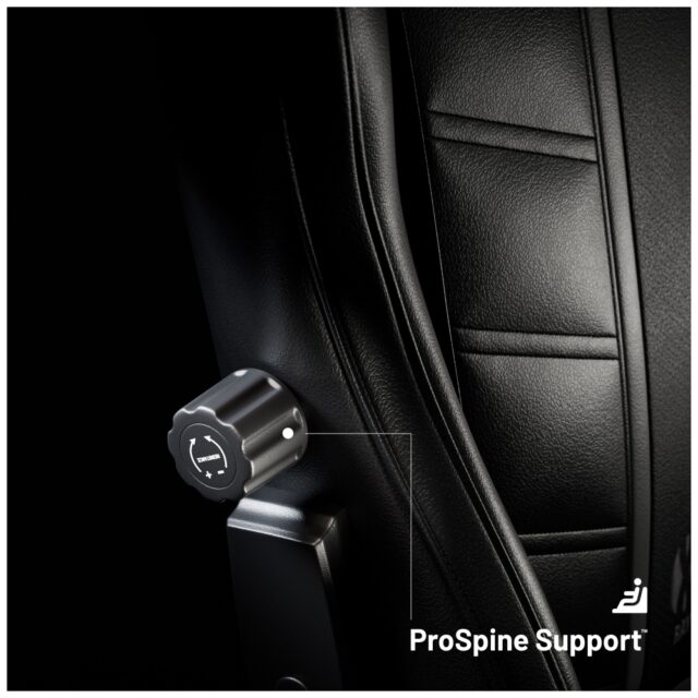 Gaming chair Diablo Chairs X-Ray 2.0 King Size black-gray - imagine 8