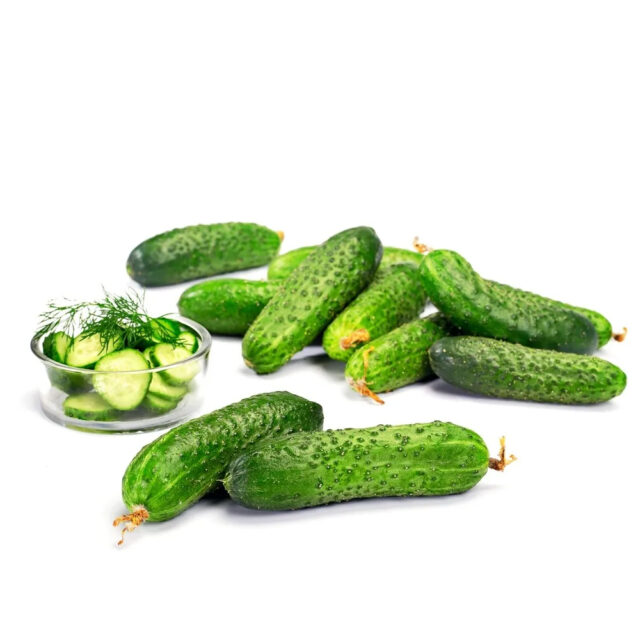 PNOS Nasiona na taśmie | Ogórek Gruntowy Reja F1 | Taśma 6m - imagine 4