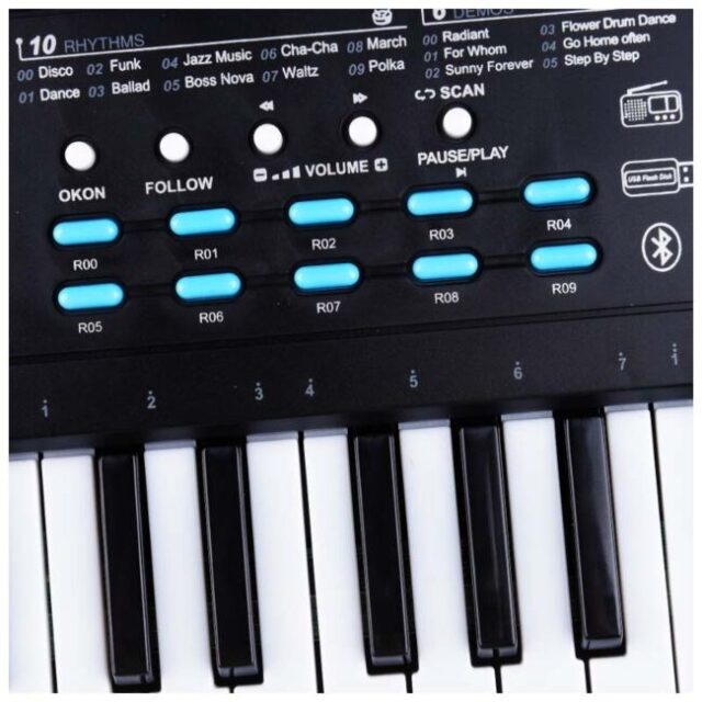 MQ 605 UFB - keyboard with microphone for learning to play  designed for children - imagine 7
