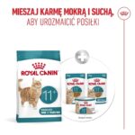 ROYAL CANIN Ageing 11+ - dry cat food - 400g - imagine 2