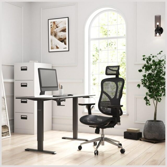 Ergonomic chair Diablo Chairs V-Basic black - imagine 9