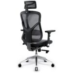 Ergonomic chair Diablo Chairs V-Basic black-gray - imagine 3