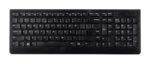 Lenovo Essential keyboard Universal USB QWERTY US English Black - imagine 4