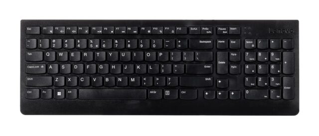 Lenovo Essential keyboard Universal USB QWERTY US English Black - imagine 4