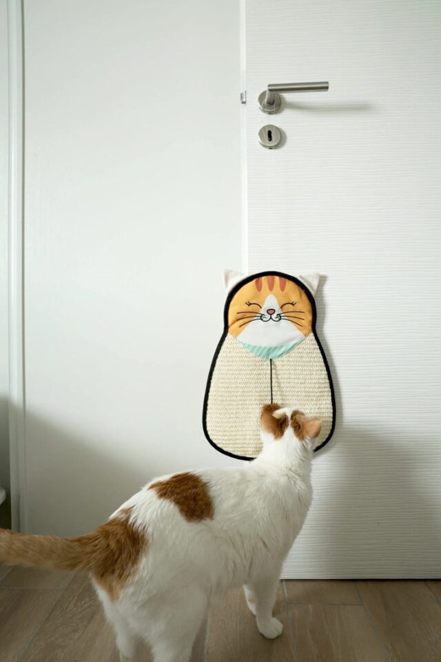 ZOLUX Drapka dla kota do powieszenia kot sizal z zabawką CHATOUILLE 54cm - imagine 2