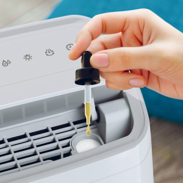 DEHUMIDIFIER DE3306/11 PHILIPS - imagine 6