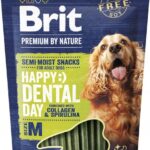 BRIT Premium Dog Snack Dental M - dog treat - 180g