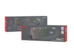 GENESIS Thor 420 RGB keyboard Gaming USB AZERTY US English Silver - imagine 7