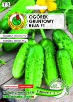 PNOS Nasiona na taśmie | Ogórek Gruntowy Reja F1 | Taśma 6m - imagine 2