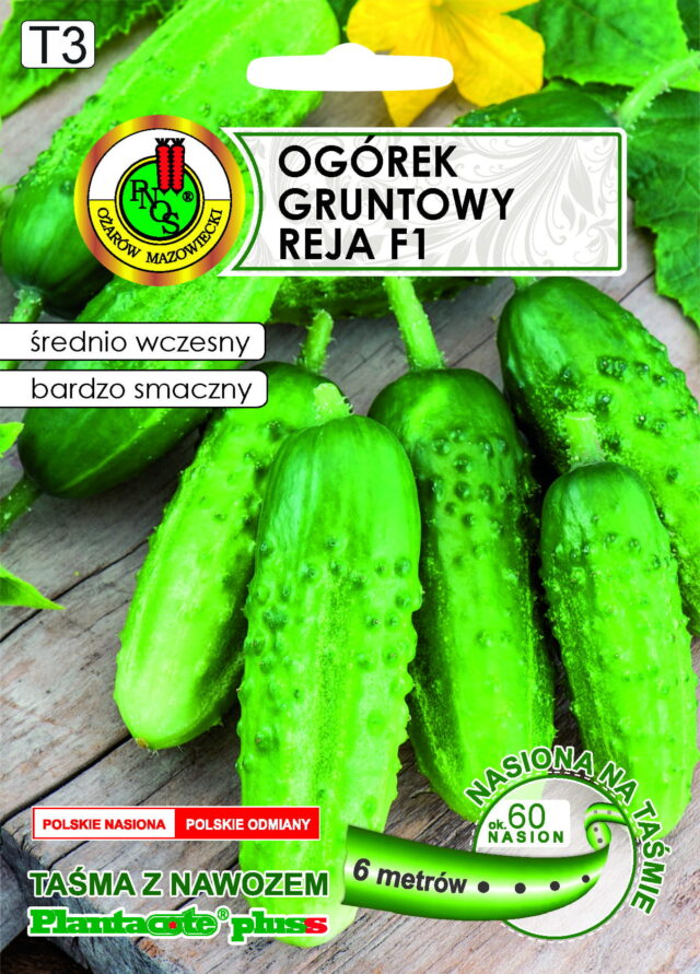 PNOS Nasiona na taśmie | Ogórek Gruntowy Reja F1 | Taśma 6m - imagine 2