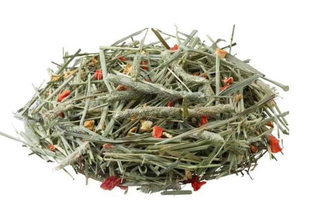 VERSELE LAGA Nature Timothy hay with carrots and pumpkin - 500 g - imagine 2