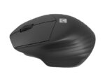 NATEC WIRELESS MOUSE SISKIN 2 BT 5.0 + 2.4GHZ - imagine 2