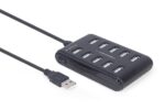 Gembird UHB-U2P10P-01 10-port USB 2.0 hub  black