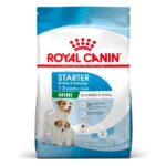 ROYAL CANIN SHN Mini Starter Mother & Babydog - dry dog food - 4 kg - imagine 7