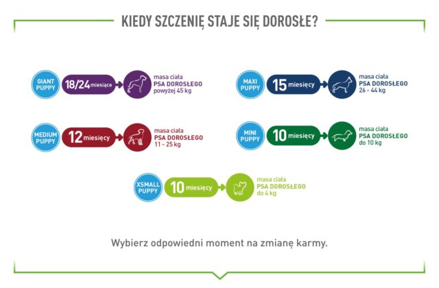 ROYAL CANIN Supplements Dog Immunity & Digest Puppy - dog vitamins - 100g - imagine 10