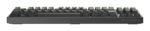 GENESIS Thor 404 TKL keyboard Gaming USB QWERTY German Black - imagine 8