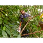 Black & Decker BEHTS401-QS power hedge trimmer - imagine 6