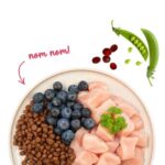 BOSCH Sanabelle Adult Chicken & Blueberries - dry cat food - 2kg - imagine 3