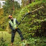 18V XR Pole Shears 55  Boom up to 3.35m  Cardboard - imagine 5