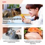 INABA Churu Pops Chicken - cat treats - 4x15 g - imagine 3