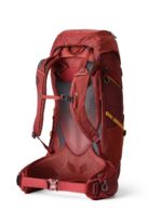 Gregory Paragon 50L Men's Hiking Backpack - Desert Red - imagine 2