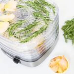 Food dryer MPM MSG-12 - imagine 8