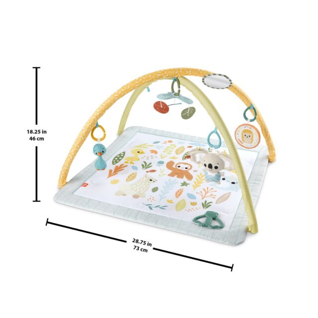 Fisher-Price Simply Senses Newborn Gym Baby Activity Mat with 6 Sensory Toys - imagine 5