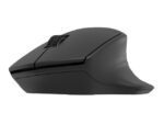 NATEC WIRELESS MOUSE SISKIN 2 BT 5.0 + 2.4GHZ - imagine 5