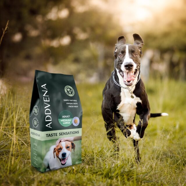 ADDVENA TASTE SENSATIONS dla dorosłych psów średnich i dużych ras 2 5kg - imagine 4