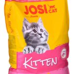 JOSERA JosiCat Kitten - dry cat food - 10 kg