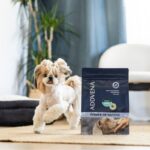 ADDVENA POWER OF NATURE dla dorosłych psów małych ras 10kg - imagine 5