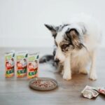 ANIMAL ISLAND wołowina fileciki w rosole dla psa 10x150g - imagine 3