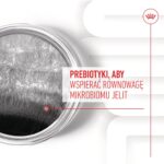 ROYAL CANIN Supplements Dog Digestion Adult - dog vitamins - 160g - imagine 9